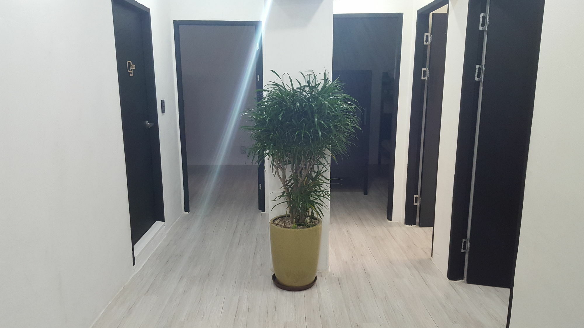 Amazon Guesthouse Seul Zewnętrze zdjęcie
