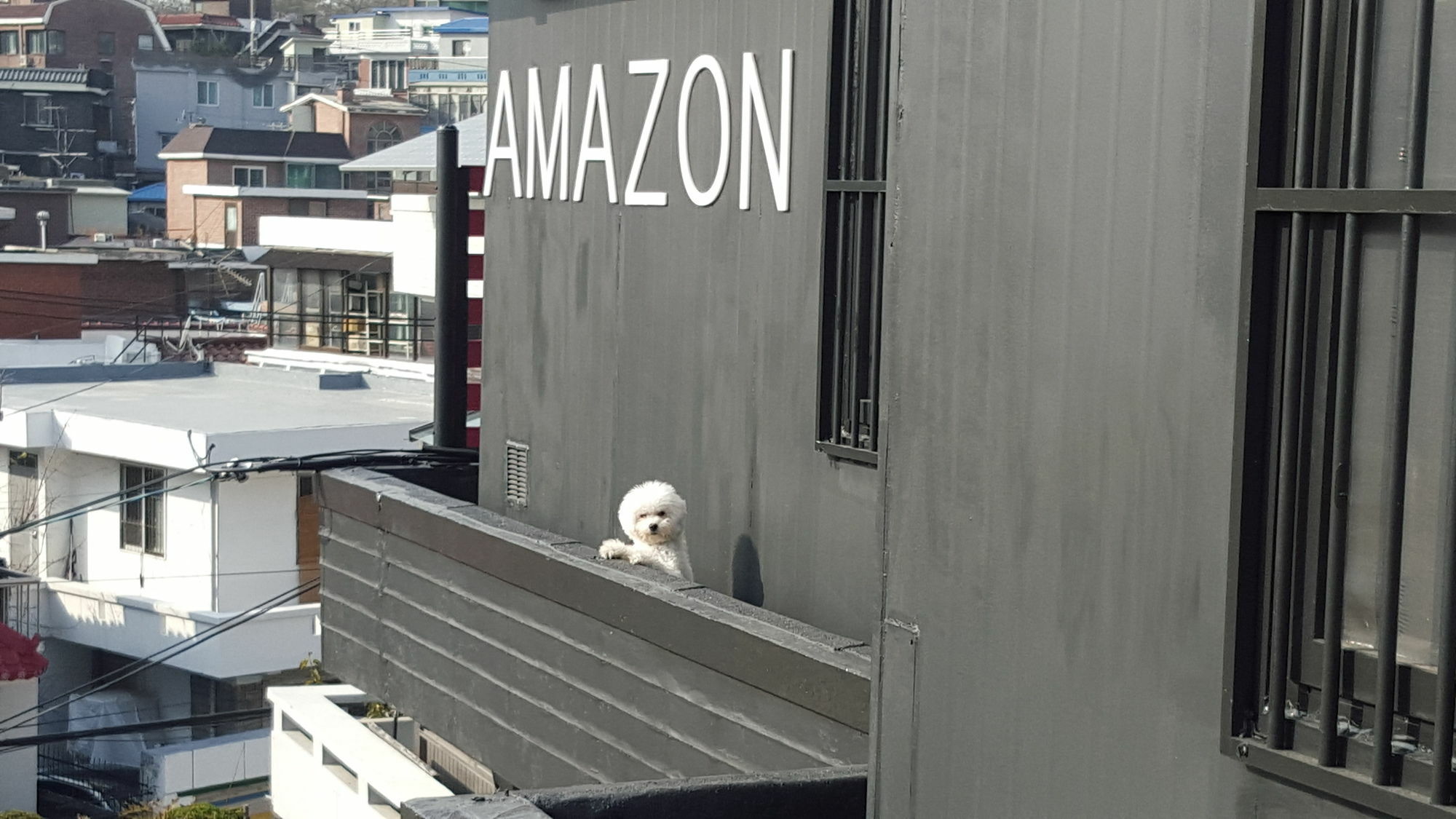 Amazon Guesthouse Seul Zewnętrze zdjęcie
